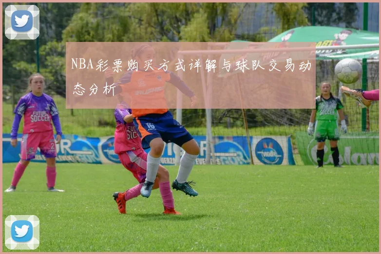 NBA彩票购买方式详解与球队交易动态分析