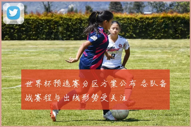 世界杯预选赛分区方案公布 各队备战赛程与出线形势受关注