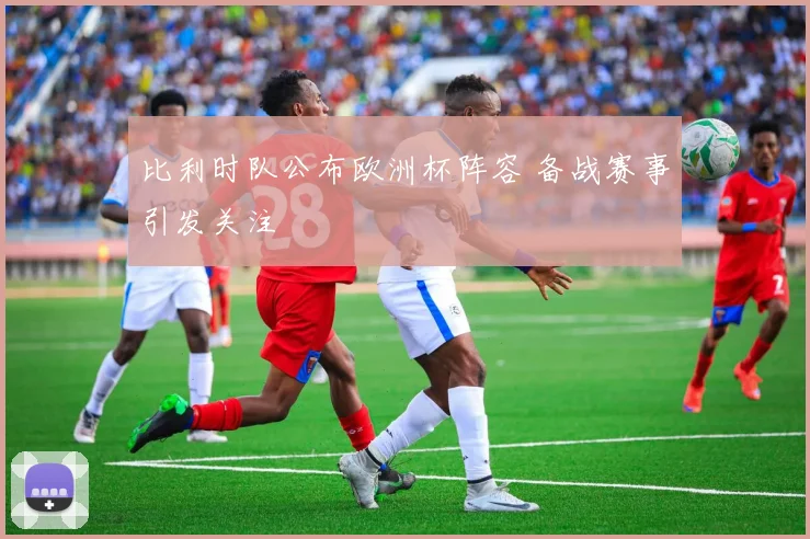 比利时队公布欧洲杯阵容 备战赛事引发关注