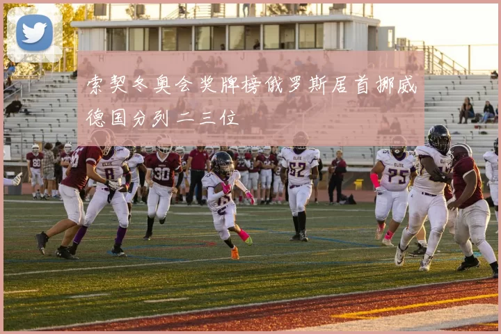 索契冬奥会奖牌榜俄罗斯居首挪威德国分列二三位