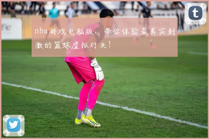 nba游戏电脑版，带你体验最真实刺激的篮球虚拟对决！