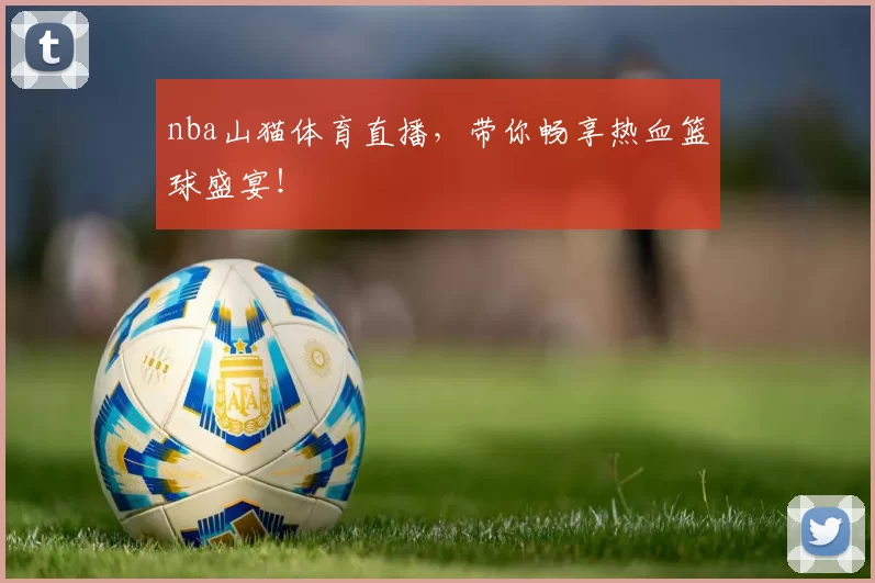 nba山猫体育直播，带你畅享热血篮球盛宴！
